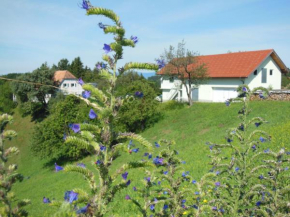 DerDieDas Wohnen - Der Bauernhof, Leutschach, Österreich, Leutschach, Österreich
